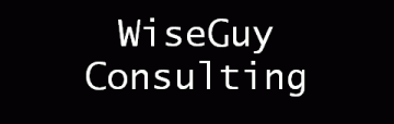 WiseGuy Consulting
